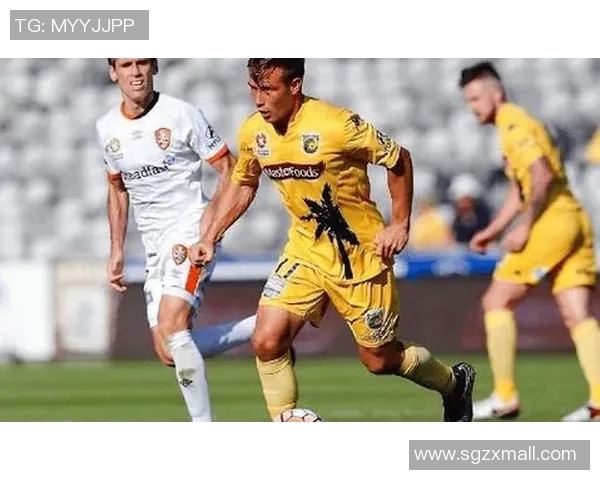 悉尼FC与中央海岸的精彩对决比分揭晓，赛季焦点战役回顾