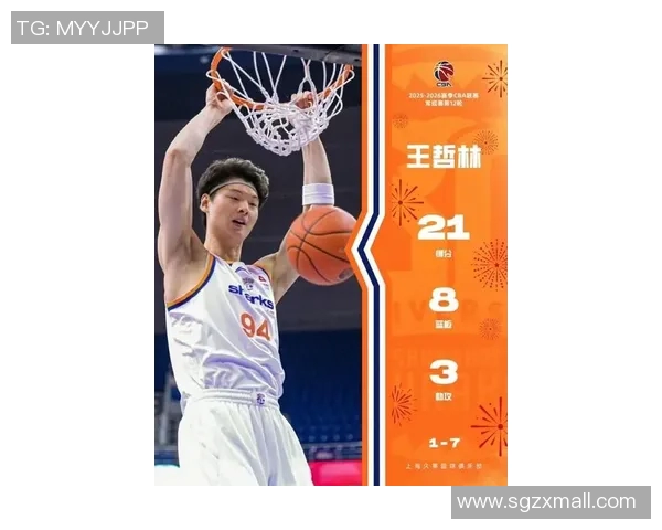 王哲林在CBA赛场的崛起与挑战：从新星到球队核心的成长之路
