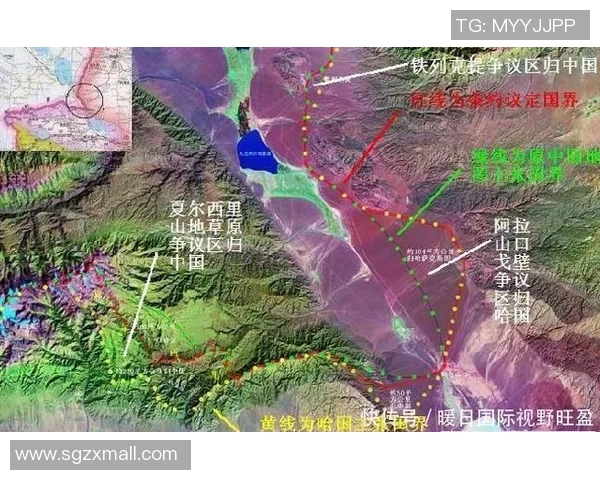 赖斯的外交智慧与全球战略影响力分析与展望