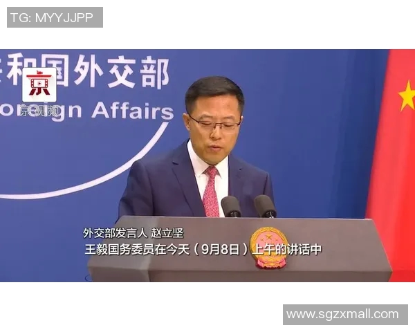 赖斯的外交智慧与全球战略布局：重塑国际关系的新篇章