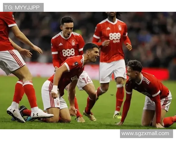 诺丁汉森林对阵加的夫城精彩直播全程回顾与分析