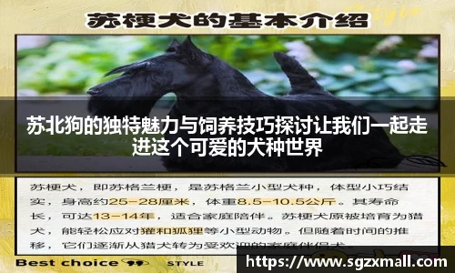 一竞技入口