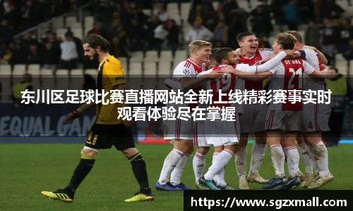 一竞技在线登录