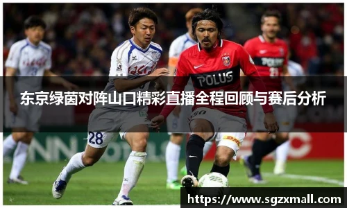 东京绿茵对阵山口精彩直播全程回顾与赛后分析